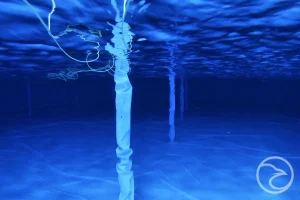 Remote underwater inspection device inside storage tank