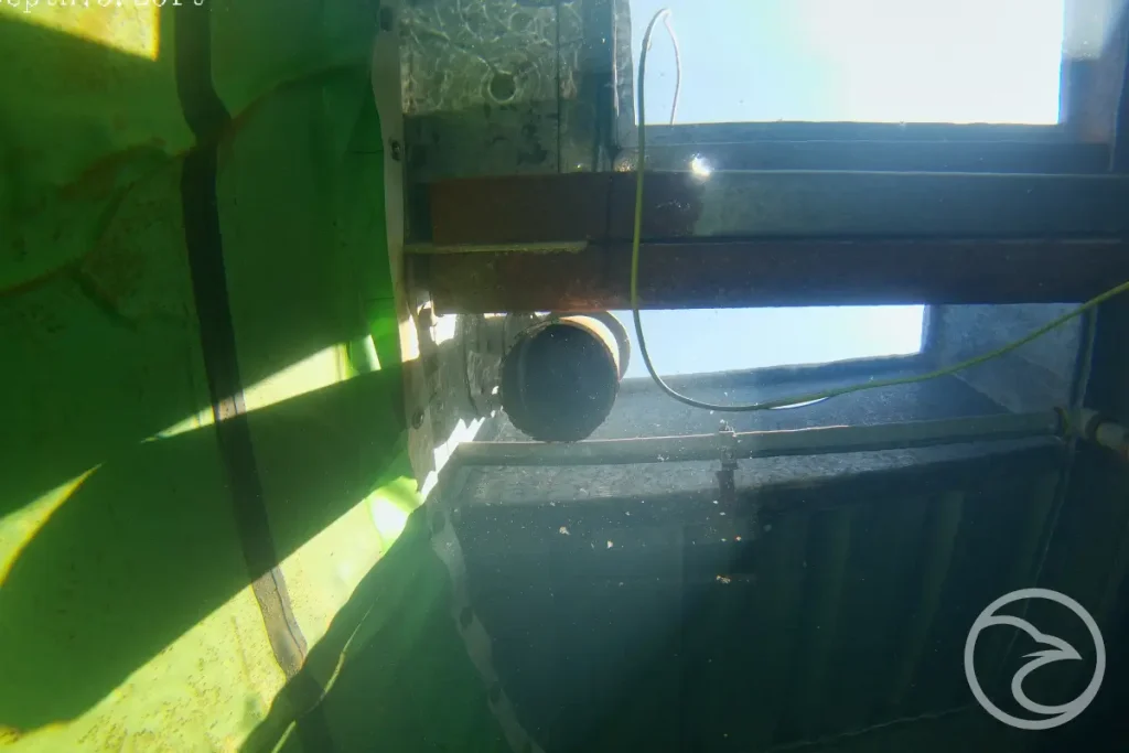 ROV vs diver tank inspection