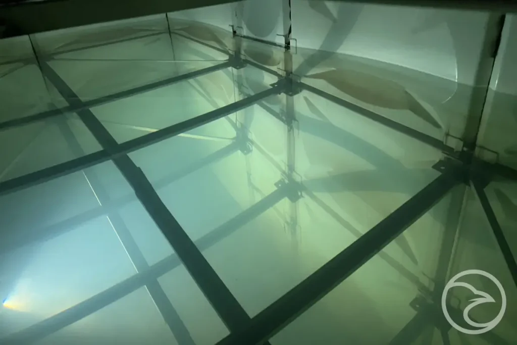 potable water quality