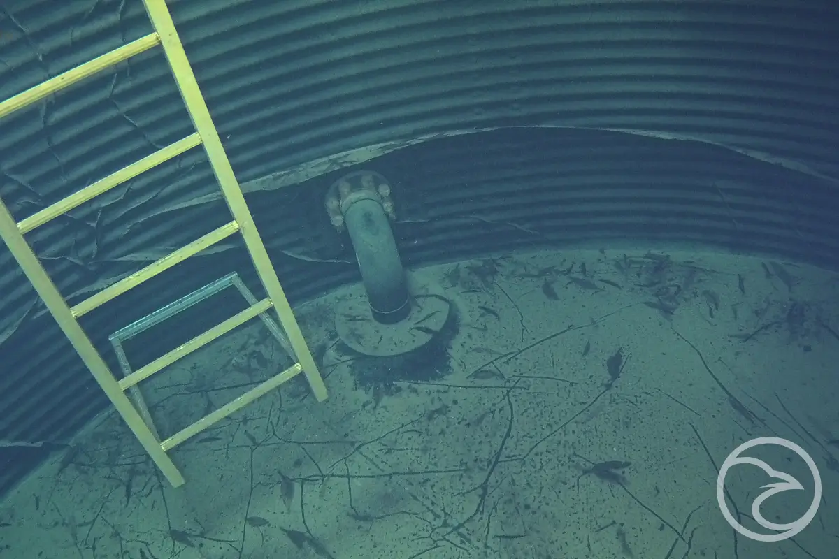 as1851 fire tank inspections