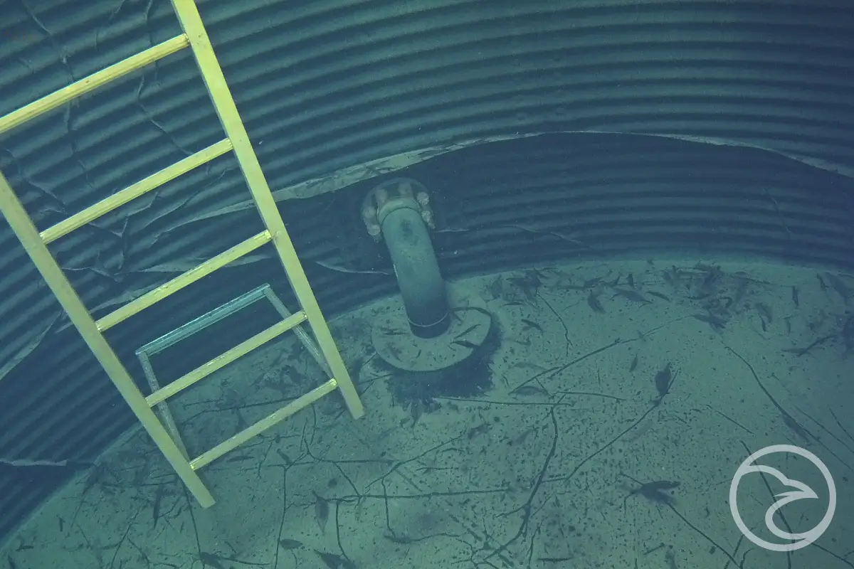 Internal tank ladder